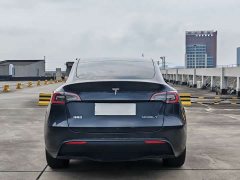 Tesla Model Y long-range all-wheel drive version - фото 5