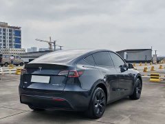 Tesla Model Y long-range all-wheel drive version - фото 6