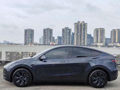 Tesla Model Y long-range all-wheel drive version - фото 7