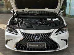 Lexus ES 300h Excellence Edition - фото 8