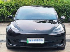 Tesla Model 3 2021 Standard Range Rear Drive Upgraded Version - фото 2