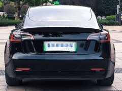 Tesla Model 3 2021 Standard Range Rear Drive Upgraded Version - фото 5