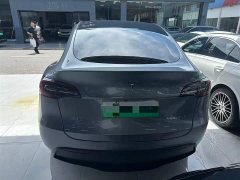 Tesla Model Y rear-wheel drive version - фото 4