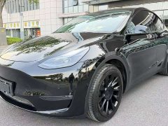 Tesla Model Y Standard Range Rear-Wheel Drive - фото 1