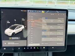 Tesla Model Y Standard Range Rear-Wheel Drive - фото 13