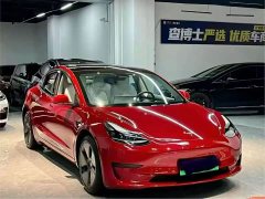 Tesla Model 3 2022 rear-wheel drive version - фото 3