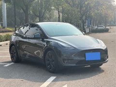 Tesla Model Y 2024 rear-wheel drive version - фото 1