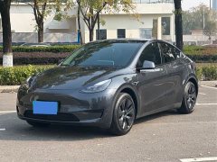 Tesla Model Y 2024 rear-wheel drive version - фото 3