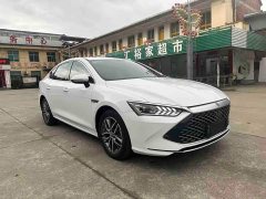 BYD Qin PLUS 2024 Honor Edition DM-i 55KM Leading Type - фото 2