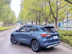 Lexus Ruiji 2020 EcoBoost 245 two-wheel drive leisure - фото 16