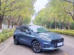 Lexus Ruiji 2020 EcoBoost 245 two-wheel drive leisure - фото 2