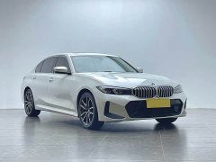 BMW 3 Series 320Li M Sport Package - фото 19