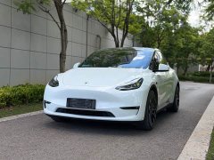 Tesla Model Y Performance high-performance all-wheel drive version - фото 1