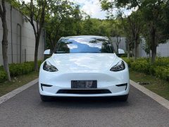 Tesla Model Y Performance high-performance all-wheel drive version - фото 2