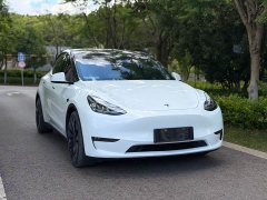 Tesla Model Y Performance high-performance all-wheel drive version - фото 3