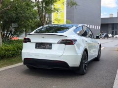 Tesla Model Y Performance high-performance all-wheel drive version - фото 4