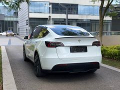 Tesla Model Y Performance high-performance all-wheel drive version - фото 5