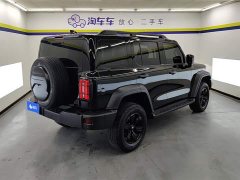 Tank 300 Off-Road Version 2.0T Conqueror - фото 3
