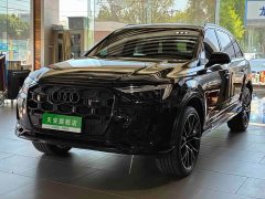 Audi Q7 55 TFSI quattro S line Black Warrior - фото 1