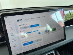 BYD Qin L DM-i 128KM aggressive - фото 9