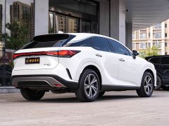 Lexus RX 300 AWD Luxury Edition - фото 3