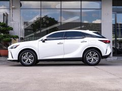 Lexus RX 300 AWD Luxury Edition - фото 4