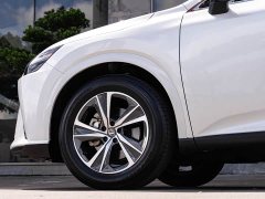 Lexus RX 300 AWD Luxury Edition - фото 8