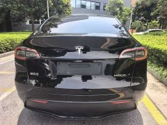 Tesla Model Y long-range all-wheel drive version - фото 5