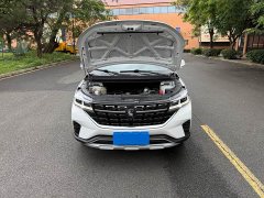 Lynk & Co Forthing T5 1.6L Manual Dream Edition 5-Seater - фото 12