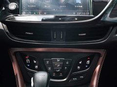 Lexus Envision Plus 2021 532T two-wheel drive luxury - фото 13