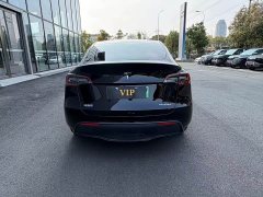 Tesla Model Y 2024 rear-wheel drive version - фото 11