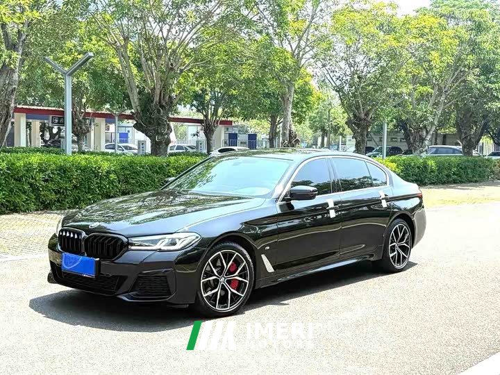 BMW 5 Series 530Li Exclusive M Sports Package - автомобиль из Китая