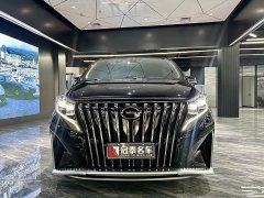 Trumpchi M8 Master Series 390T Extreme Edition - фото 2