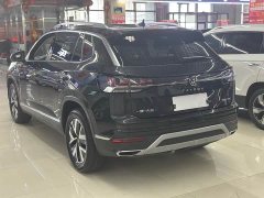 Lexus Tanyue 280TSI two-wheel drive luxury Plus advanced version - фото 7