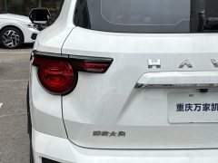 Haval Big Dog PLUS 2023 2.0T two-wheel drive trendy version - фото 15