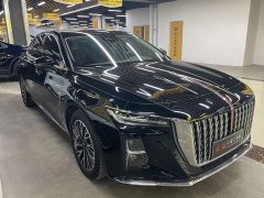 Hongqi H5 2024 2.0T Automatic Zhilianqichang Edition - фото 3
