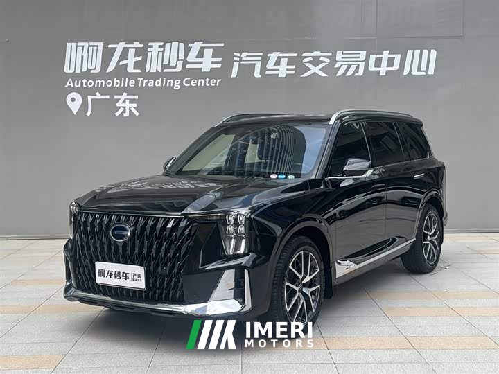 Trumpchi GS8 2024 Dual Engine Series 2.0TM Two-wheel drive Premium Edition - автомобиль из Китая