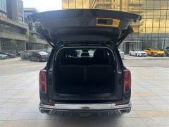Trumpchi GS8 2024 Dual Engine Series 2.0TM Two-wheel drive Premium Edition - фото 14