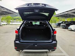 Lexus RX 2020 facelift 300 two-wheel drive elite version - фото 14