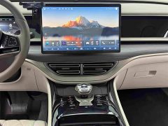 Denza D9 2022 DM-i 970 four-wheel drive premium - фото 11