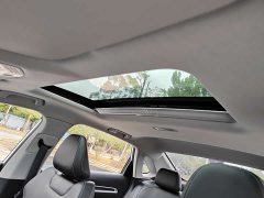 Geely Emgrand 4th Gen Champion Edition 1.5L CVT Premium - фото 19