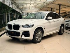 BMW X4 xDrive25i M Sport Package - фото 1