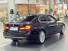 BMW 5 Series Facelift 530Li Exclusive Luxury Package - фото 7