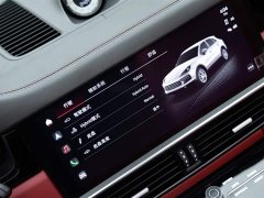 Porsche 2021 Porsche Cayenne E-Hybrid 2.0T - фото 20