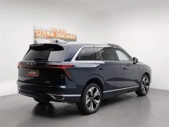 BYD Wei brand Lanshan 2023 four-wheel drive ultra-long range version - фото 2