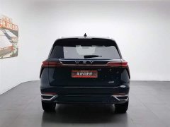 BYD Wei brand Lanshan 2023 four-wheel drive ultra-long range version - фото 4