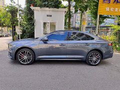 Tesla Xingrui 2.0TD Premium - фото 3