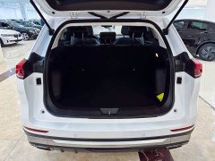Haval H6 2021 National Fashion Edition 1.5T Automatic Champion Edition - фото 18