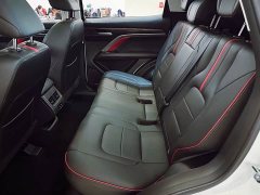 Haval H6 2021 National Fashion Edition 1.5T Automatic Champion Edition - фото 7