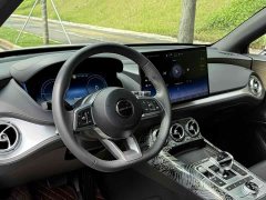 Denza X 2020 PHEV flagship version - фото 12
